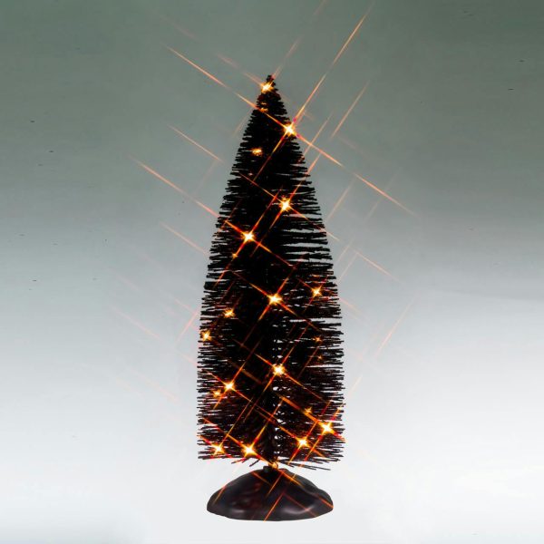 Black Bristle Tree With Orange Lights